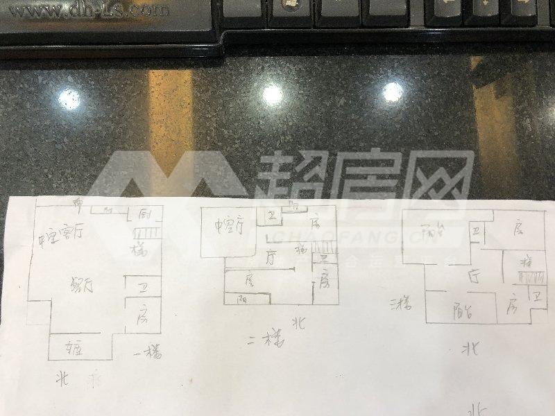 康格斯花园（别墅）二手房户型图