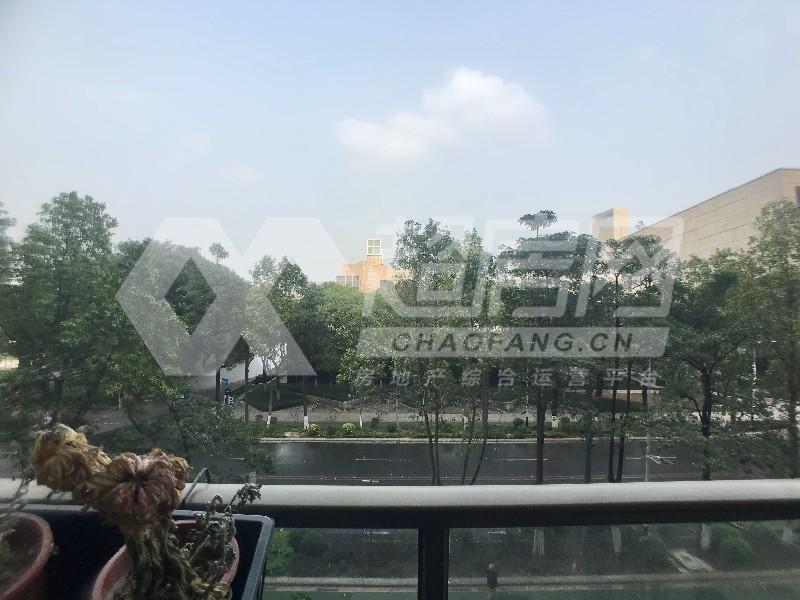嘉信帝苑二手房阳台