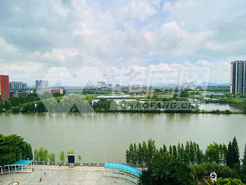 新基星河名居二手房阳台