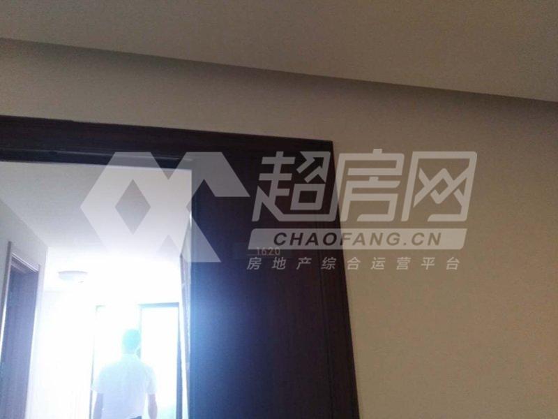 绿地中心（商住楼）二手房露台