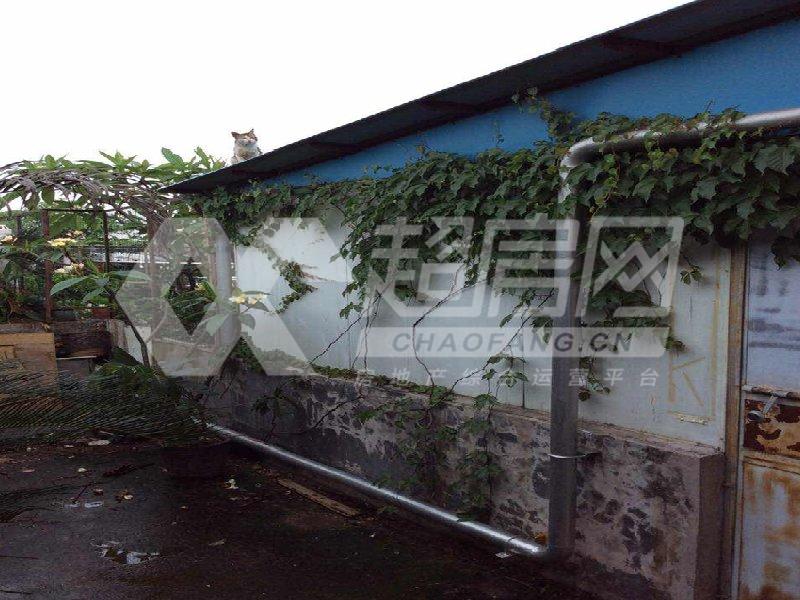 荟翠豪庭二手房阳台
