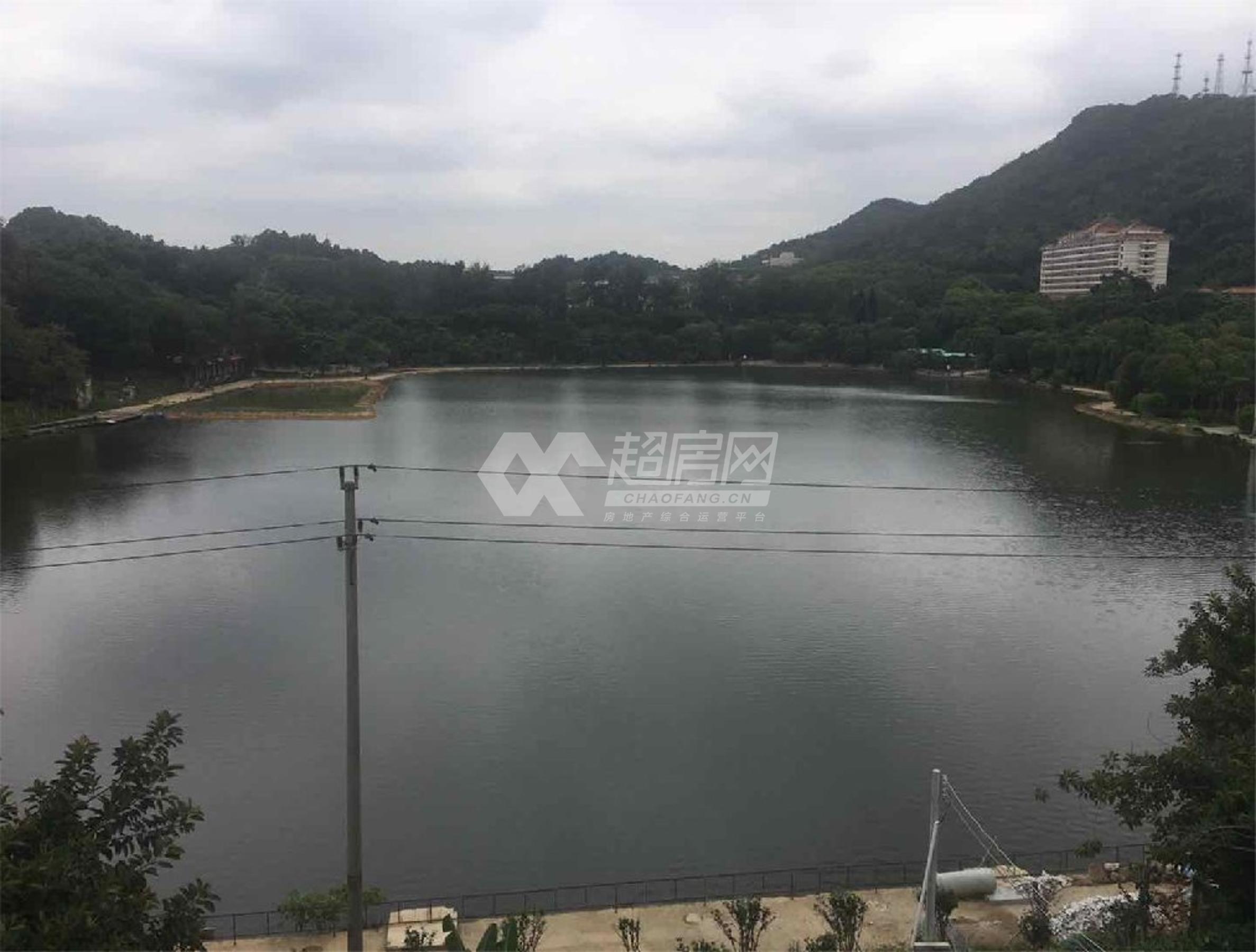 顺峰楼二手房