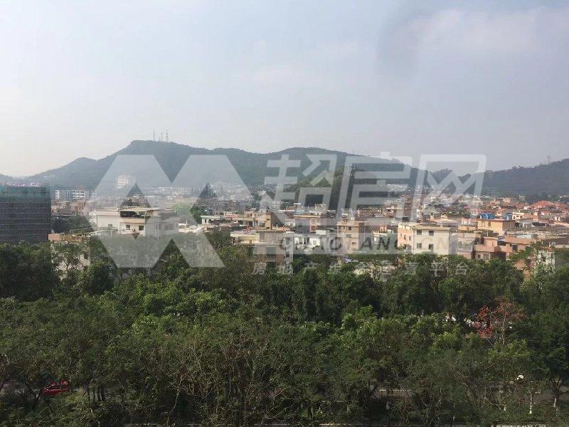 嘉信城市花园一期二手房阳台