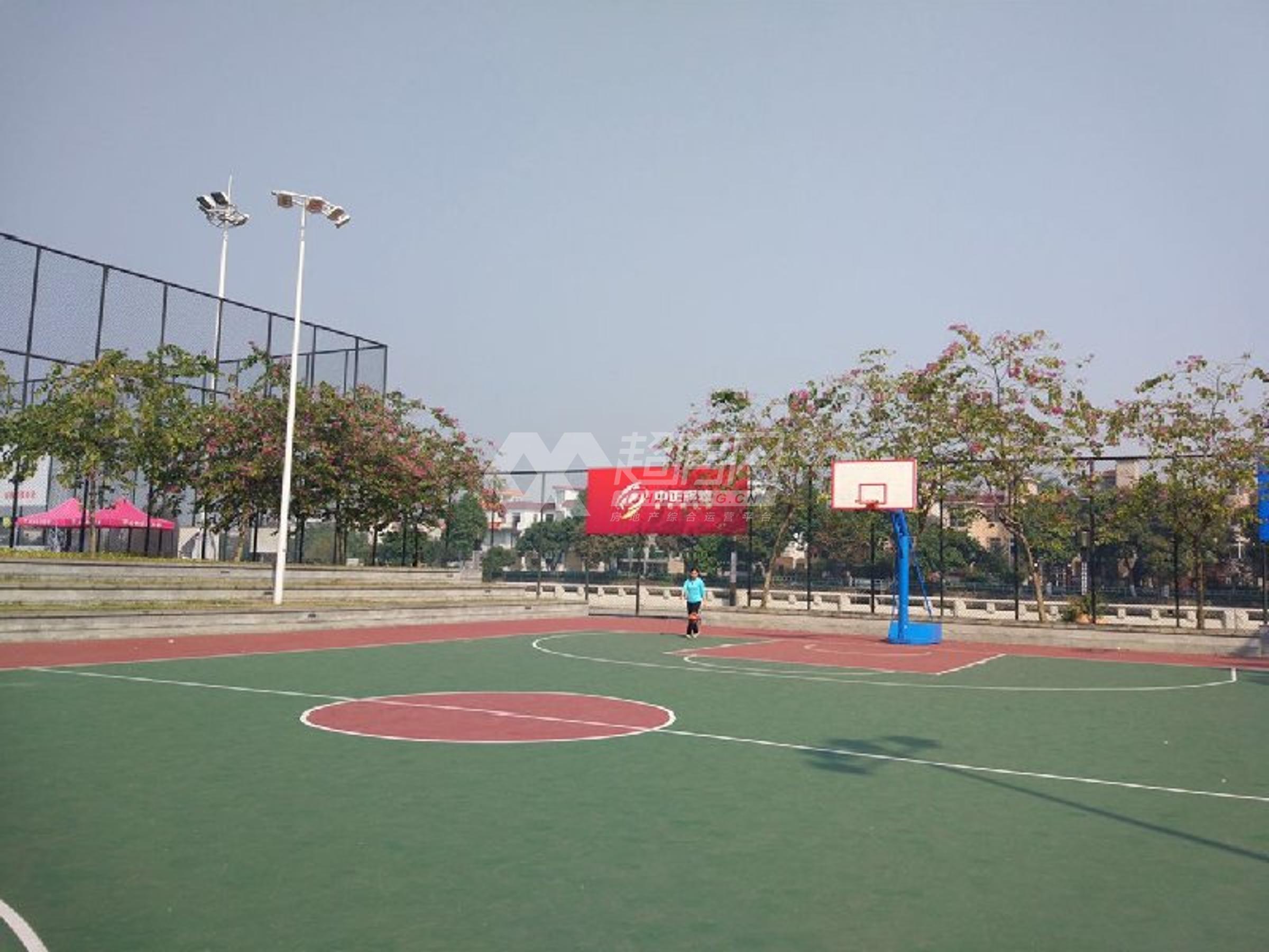 丽港豪园二手房