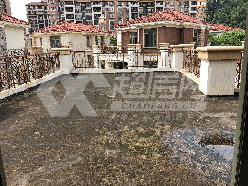 康格斯花园（别墅）二手房阳台