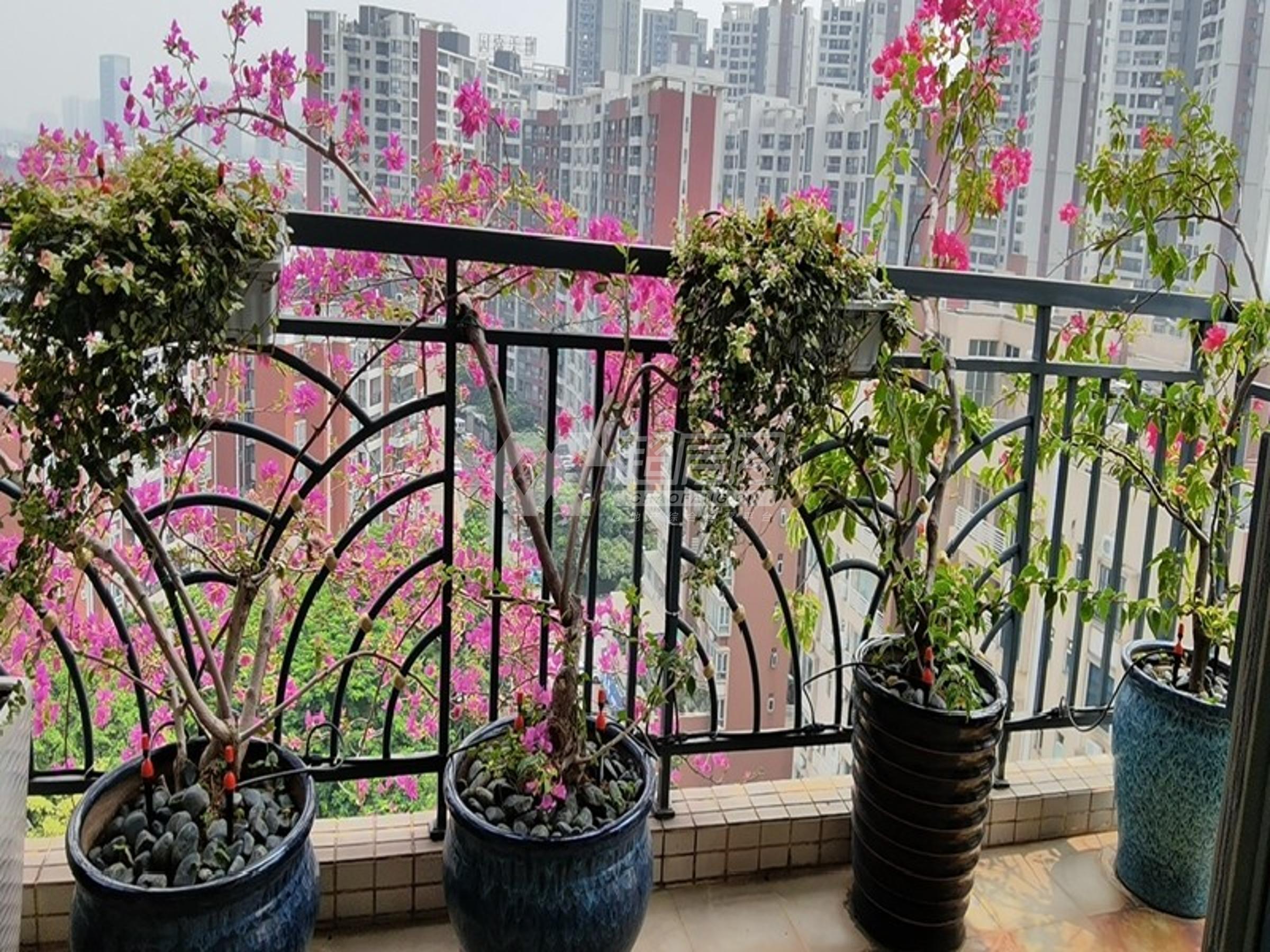 唯美尚筑二手房