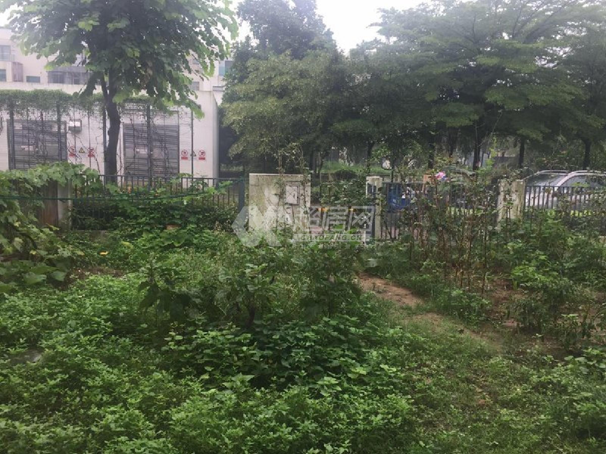 东逸湾（别墅）二手房