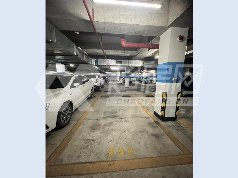 万科沁园二手房客厅