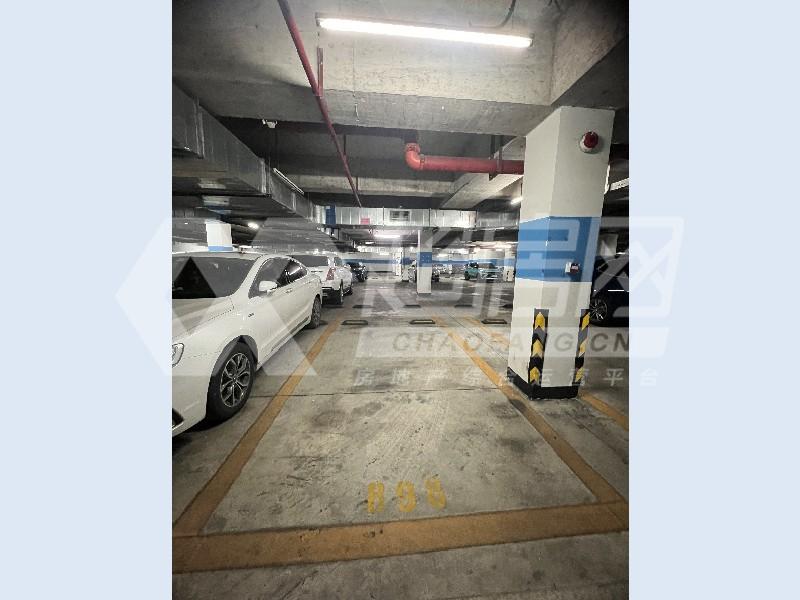 万科沁园二手房客厅
