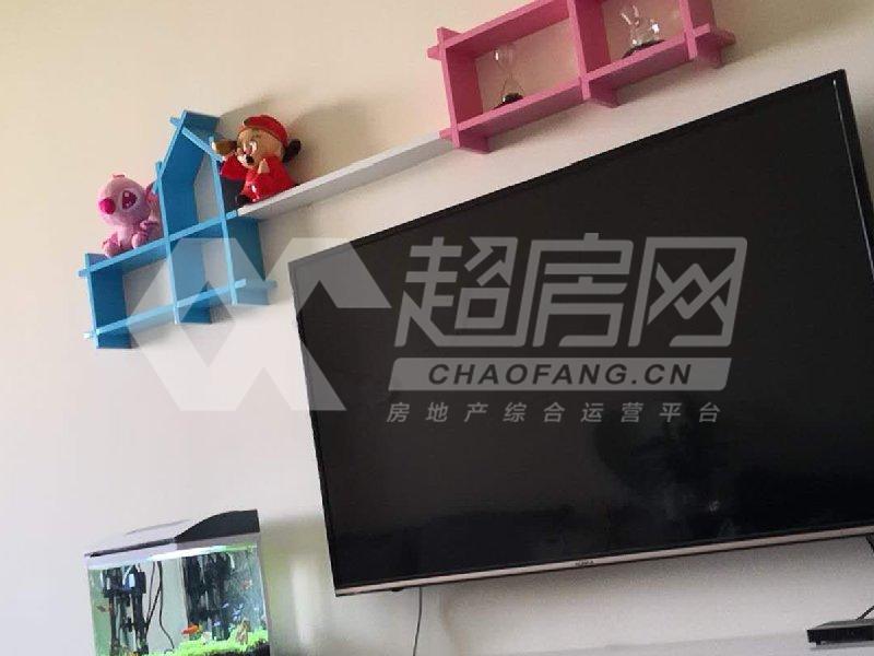 碧桂园风情荟庭二手房客厅