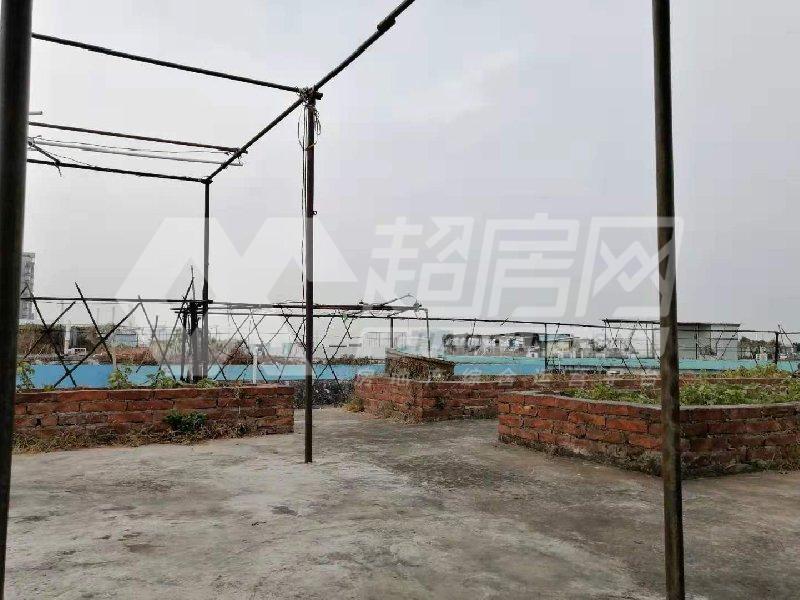 北区连云路二手房其他