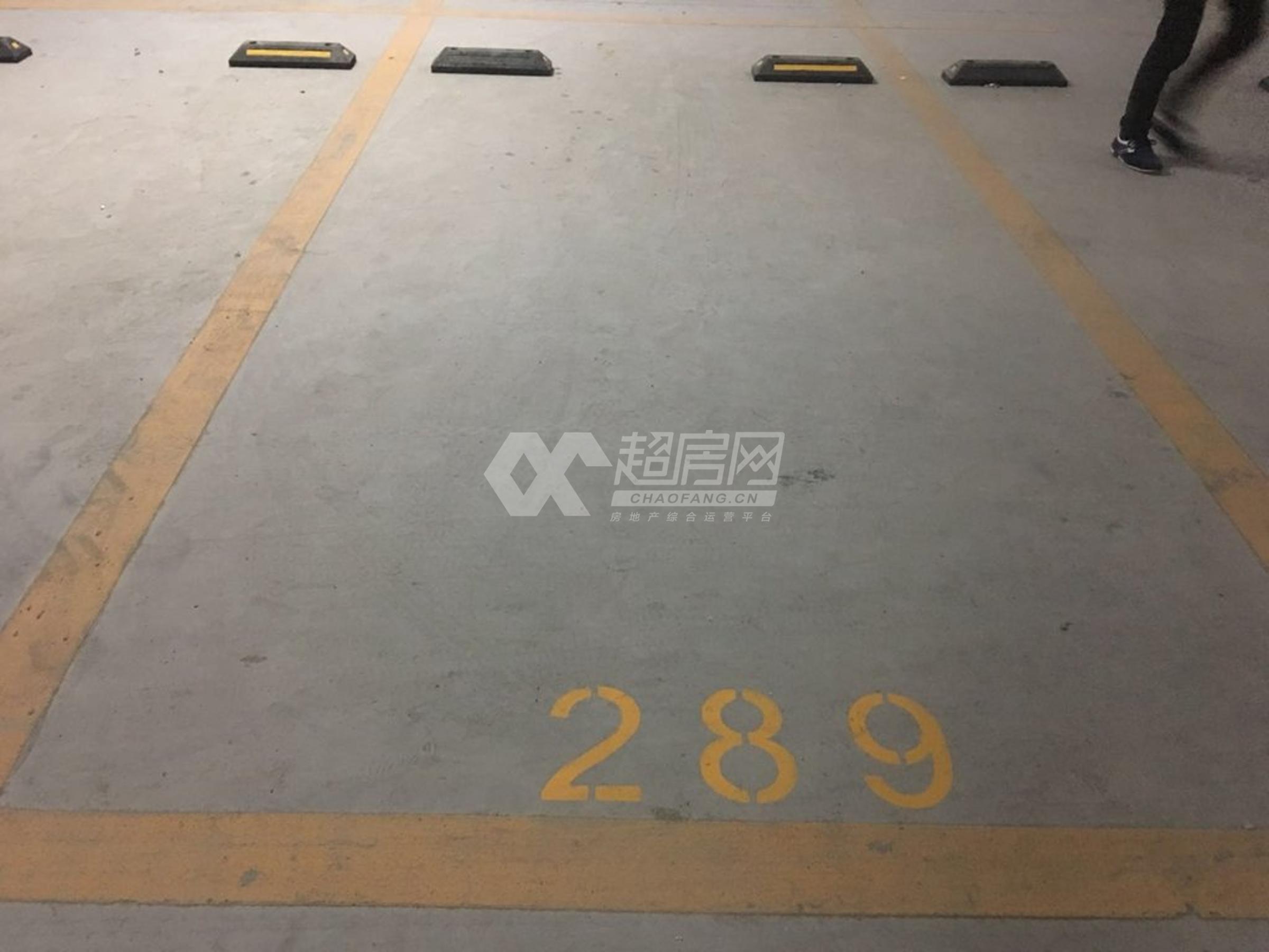 嘉信绿景花园二手房