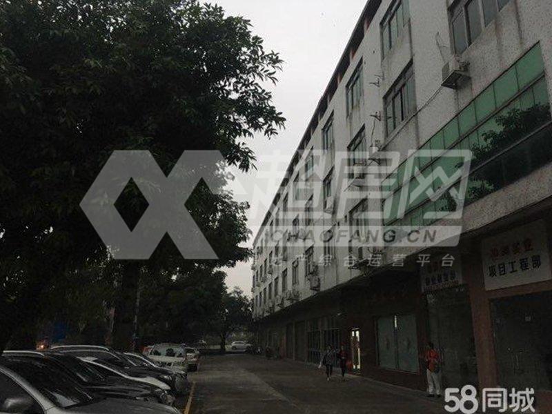 北滘居委会二手房厨房及卫生间