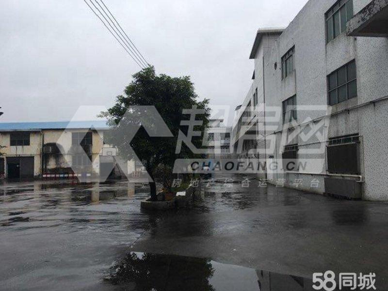 北滘居委会二手房客厅