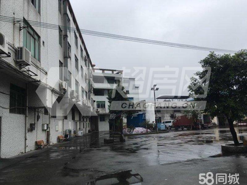 北滘居委会二手房客厅
