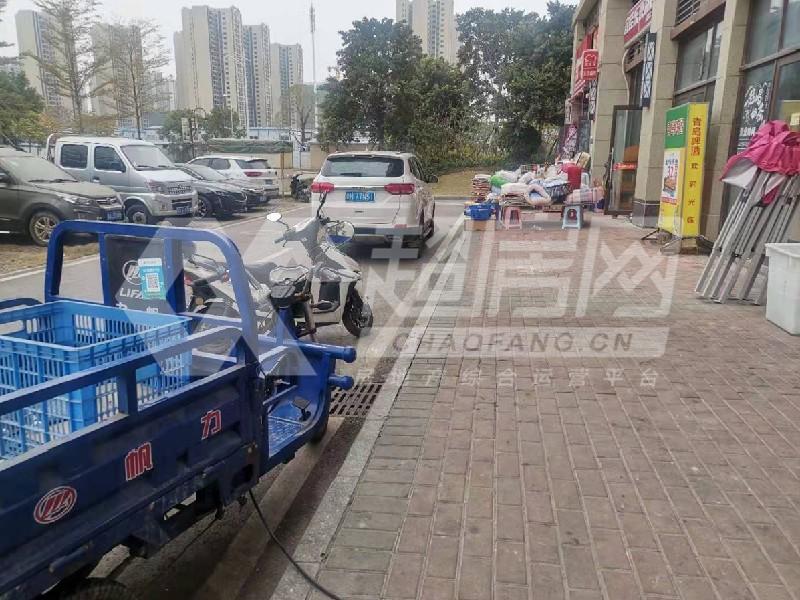 碧桂园右里苑二手房客厅