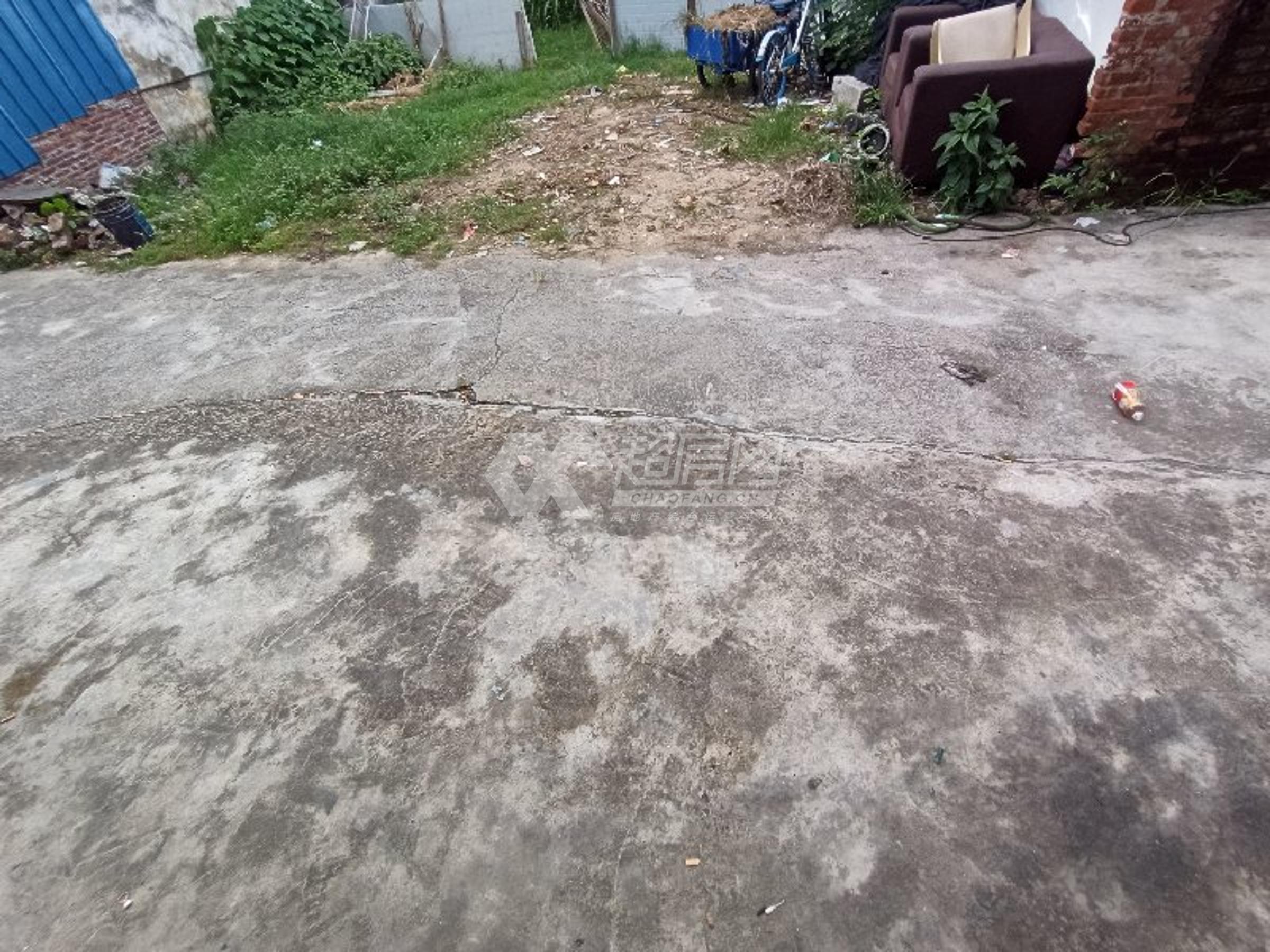 新滘居委会二手房