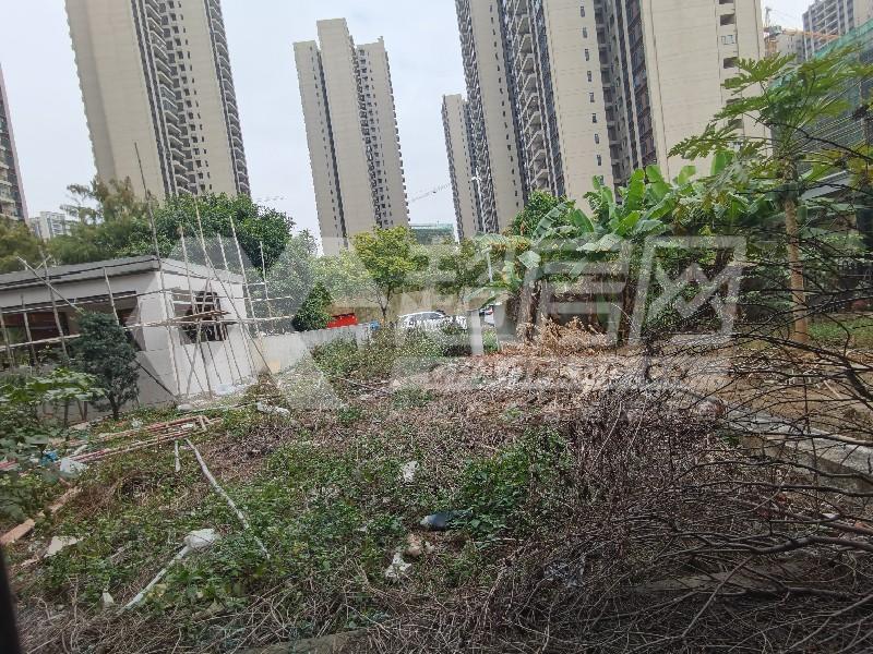 东逸湾（别墅）二手房其他