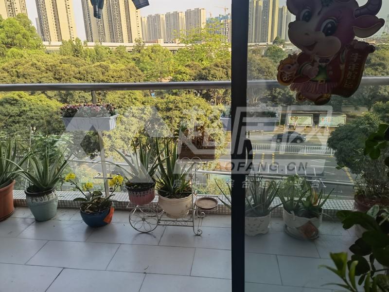 东逸湾（住宅）二手房阳台