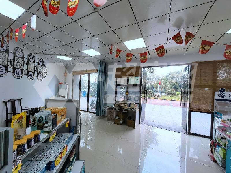 碧桂园美的·水木菁华二手房客厅