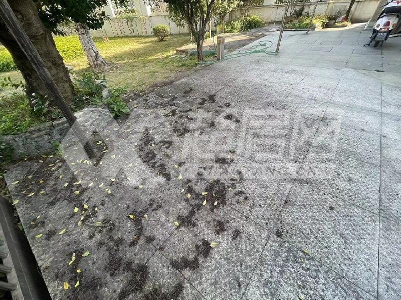 半岛碧桂园（别墅）二手房卧室
