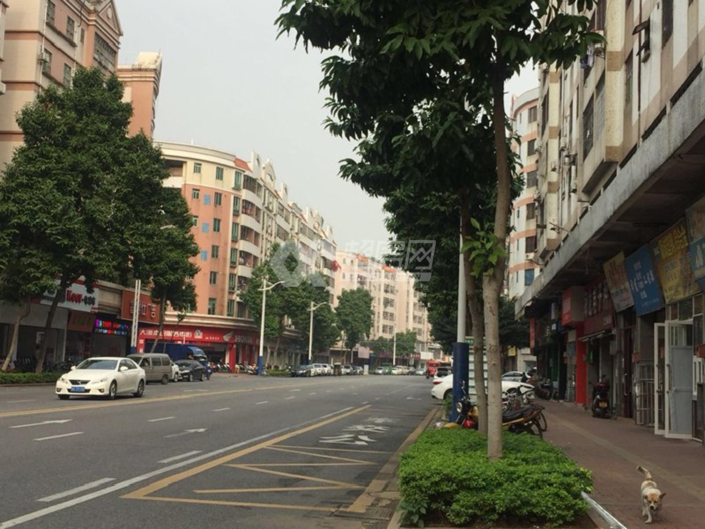 惠乐楼二手房