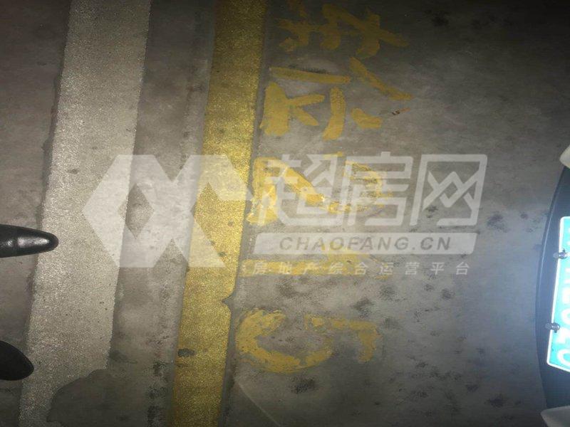 银星雅苑二手房客厅