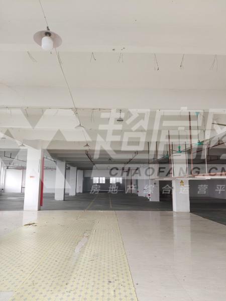涌口工业区(天腾)出租房厨房及卫生间