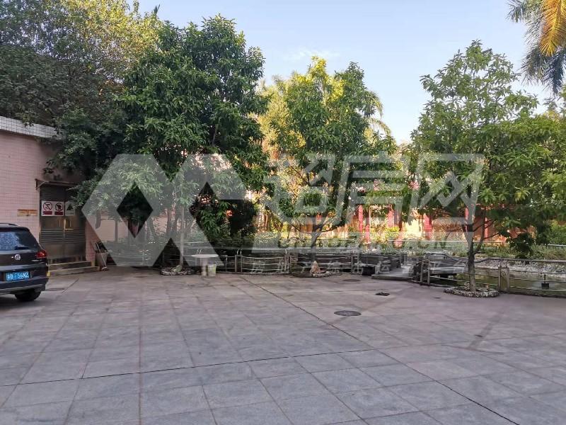 南国西路（天腾）二手房客厅