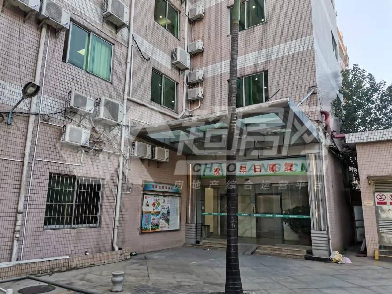 南国西路（天腾）二手房卧室