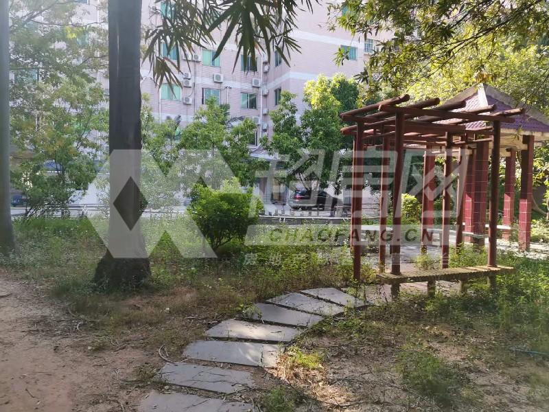 南国西路（天腾）二手房卧室