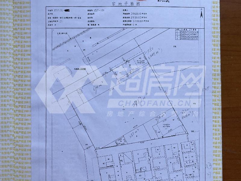 三洲工业区二手房客厅