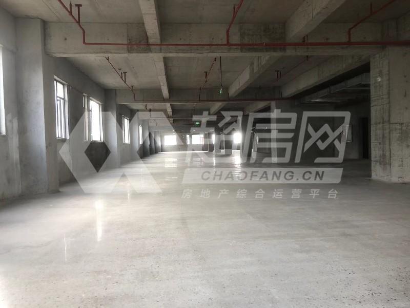 上华智能制造产业园出租房厨房及卫生间