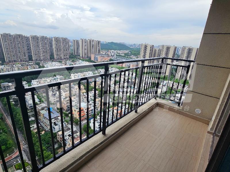 碧桂园星钻苑二手房阳台