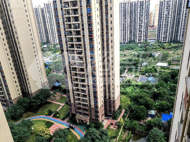 碧桂园右里苑二手房其他