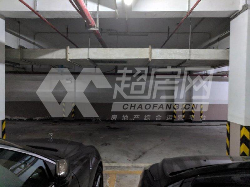 明日华府二手房客厅