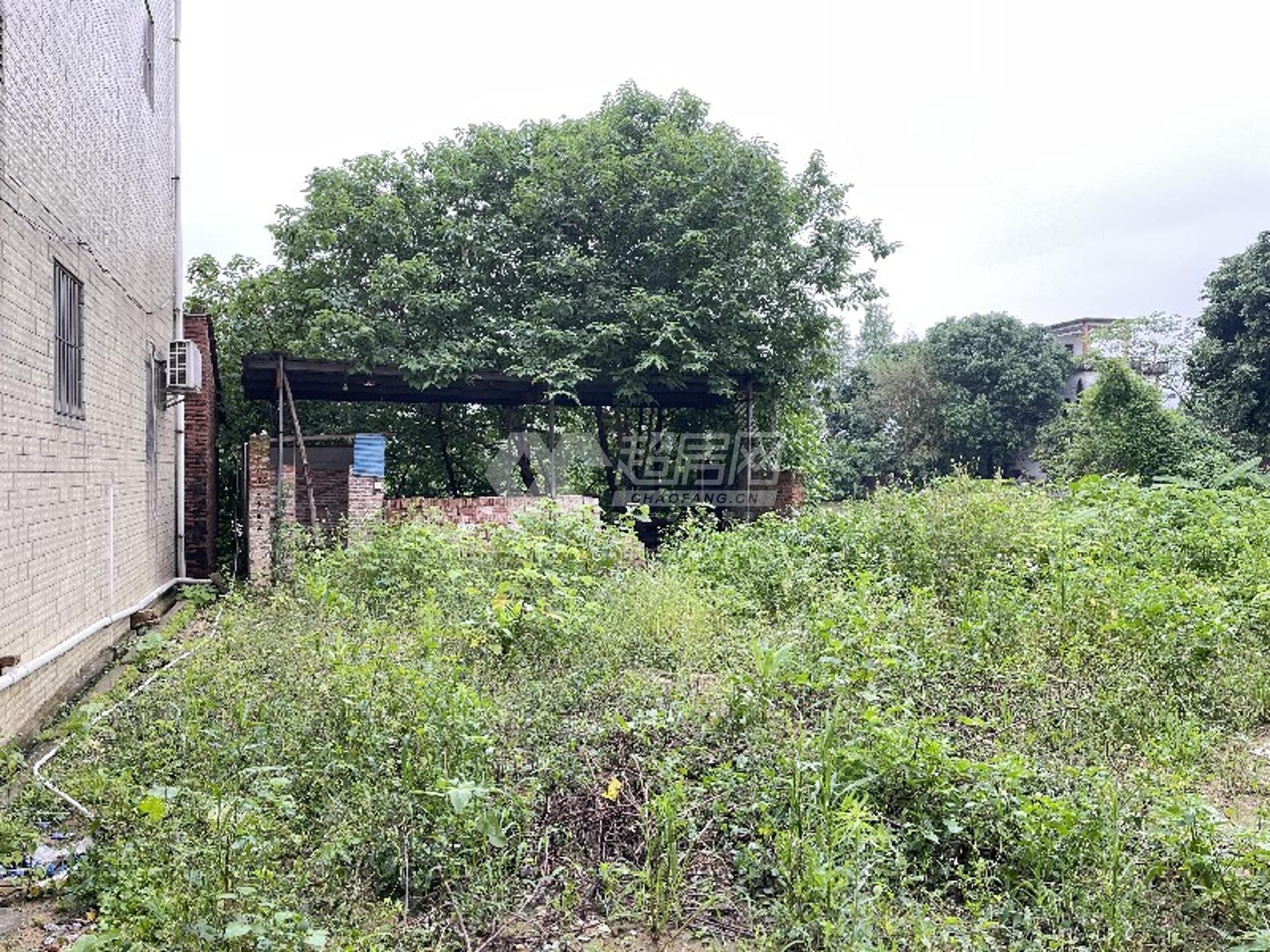 新城居委会二手房