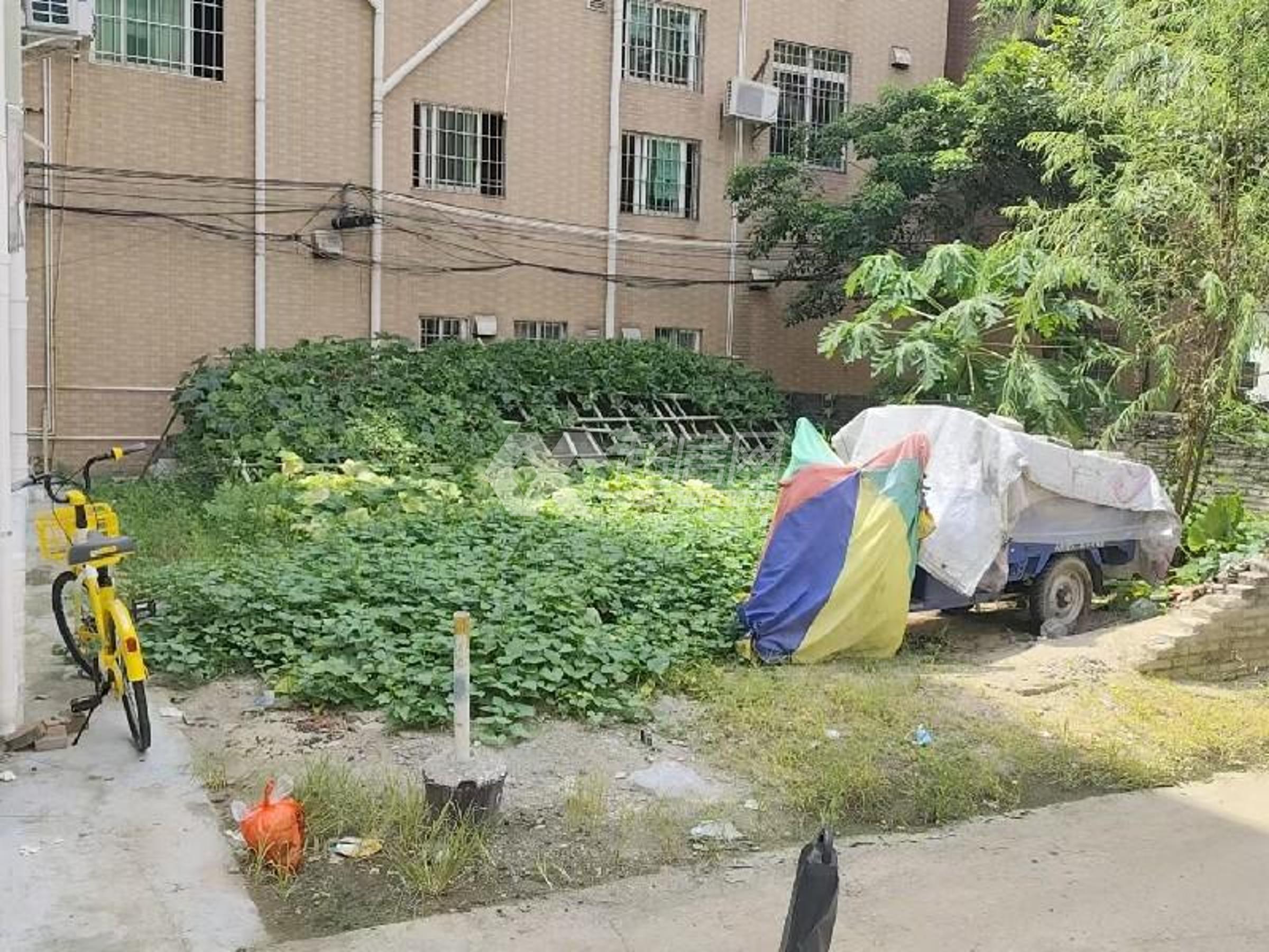 新桂居委会二手房