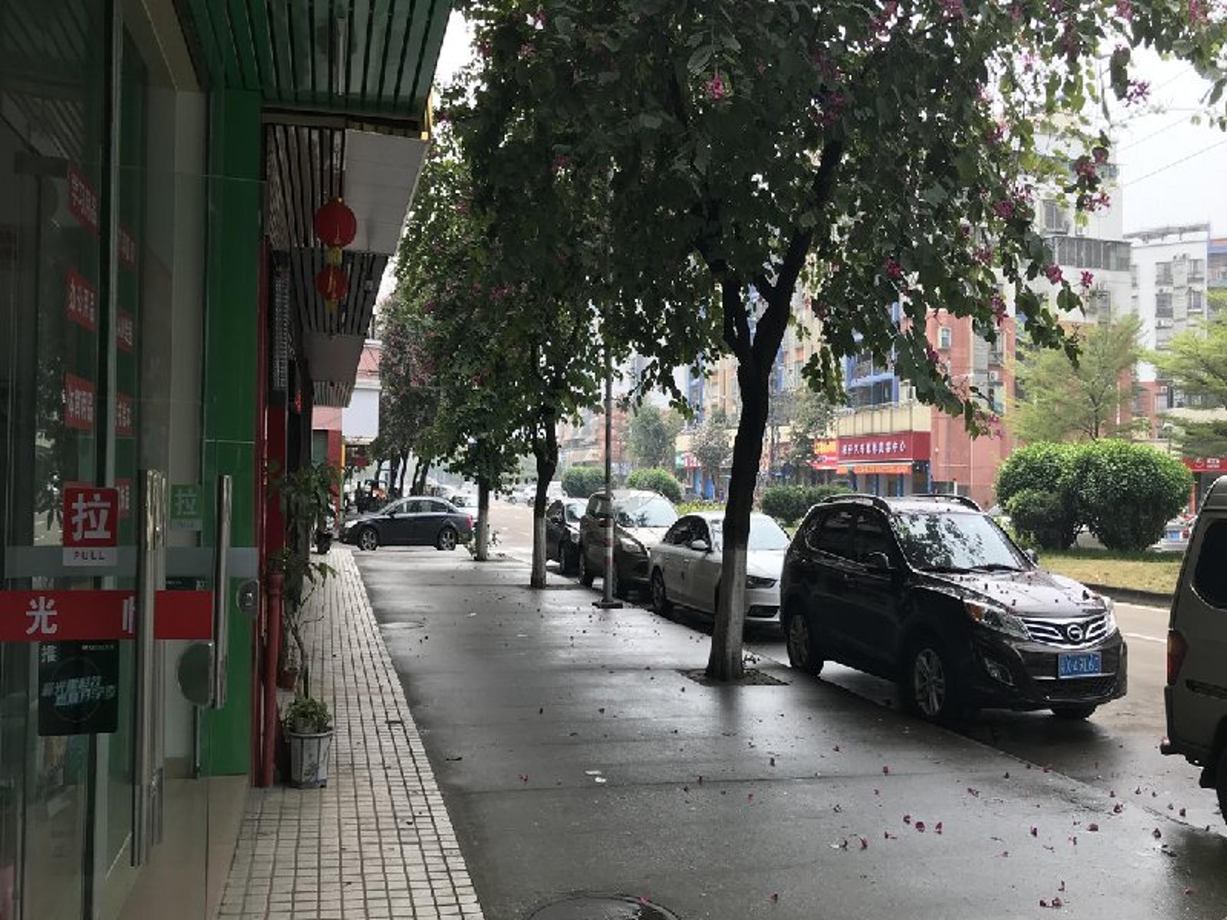铵琦豪庭(顺)二手房