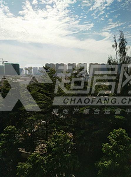 碧桂园风情荟庭二手房阳台