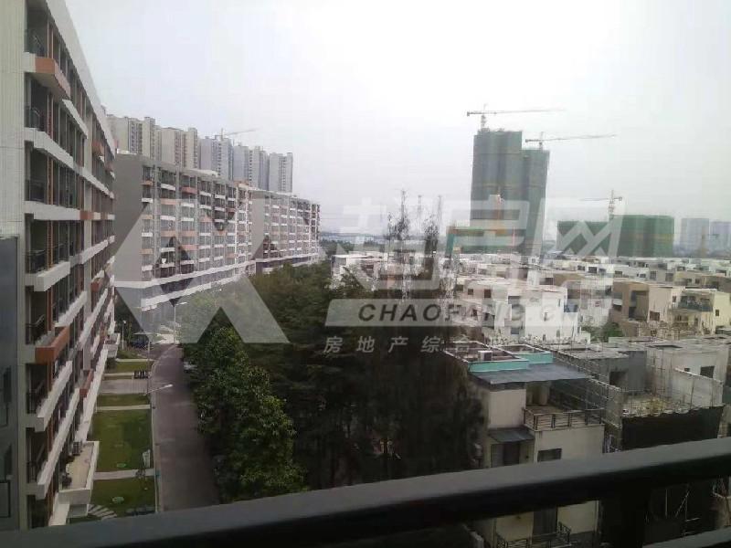 碧桂园风情荟庭二手房阳台