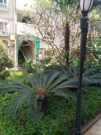 圣景花园效果图