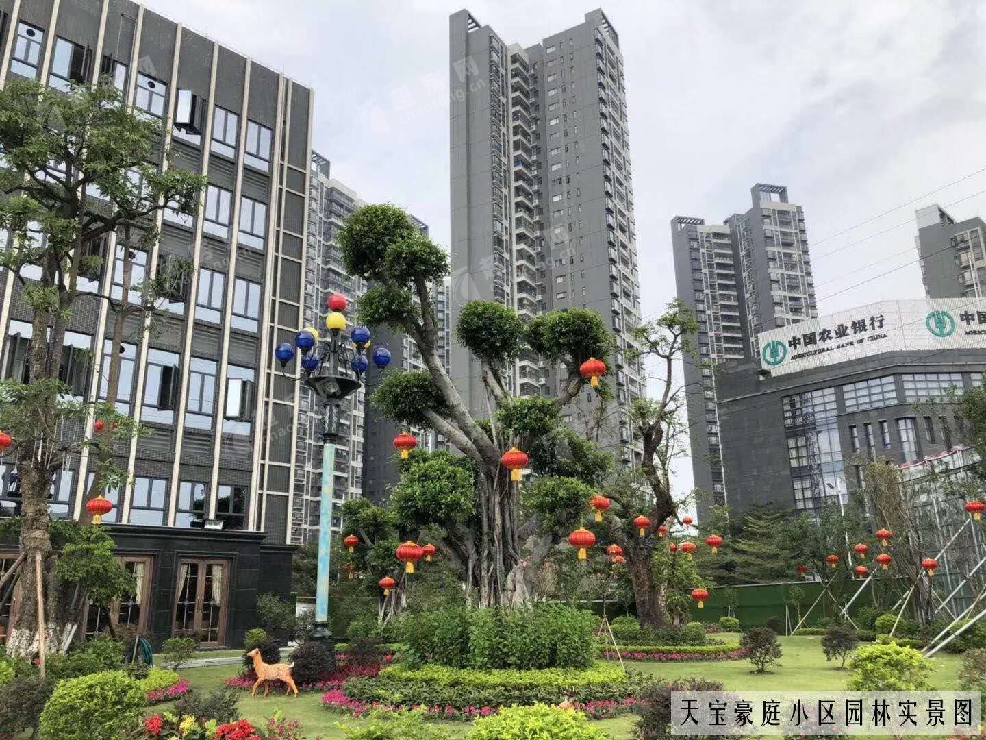 天宝豪庭（新房）新房实景图