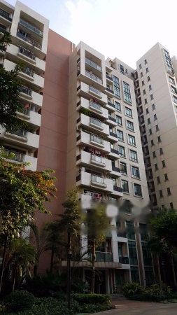 嘉信城市花园三期实景图