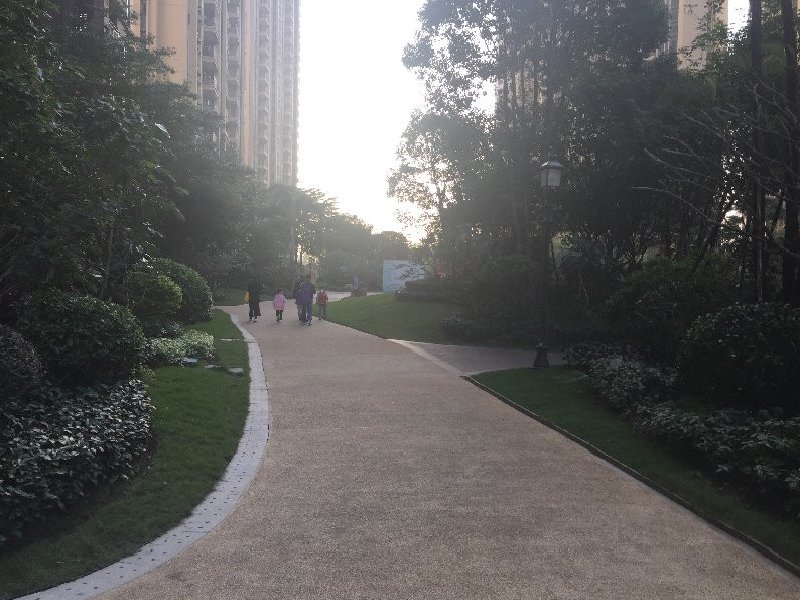 龙湖春江名城出租房其他