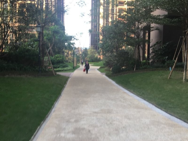 龙湖春江名城出租房其他