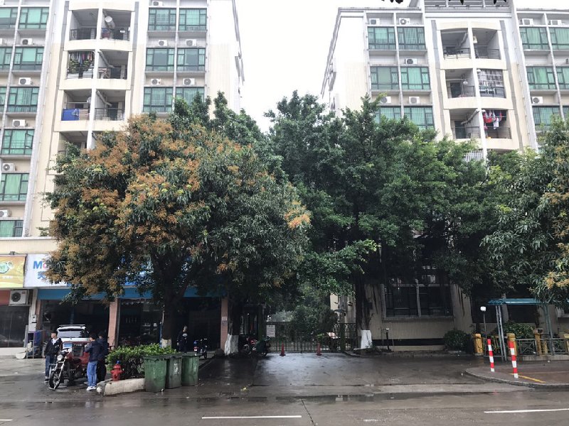 勒流翠景苑二手房