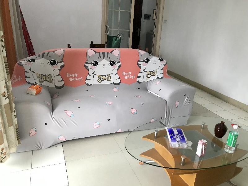 嘉信帝苑出租房客厅