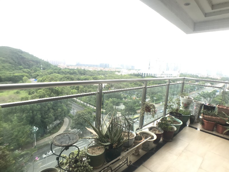 嘉信城市花园三期出租房阳台