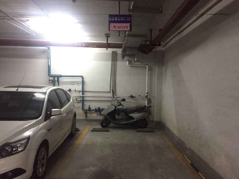 涛汇领御花园出租房客厅